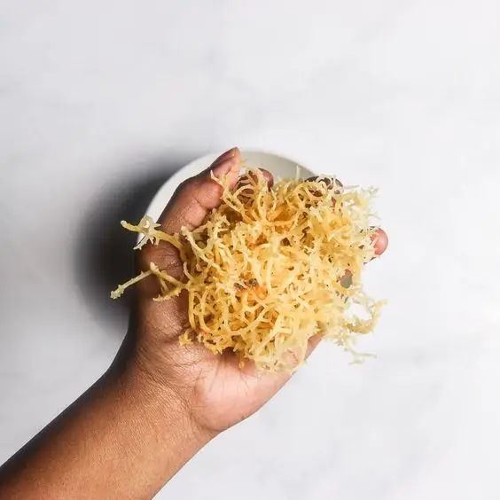 Дикий ирландский мох ручной работы/Высококачественный из Вьетнама-Кэти +