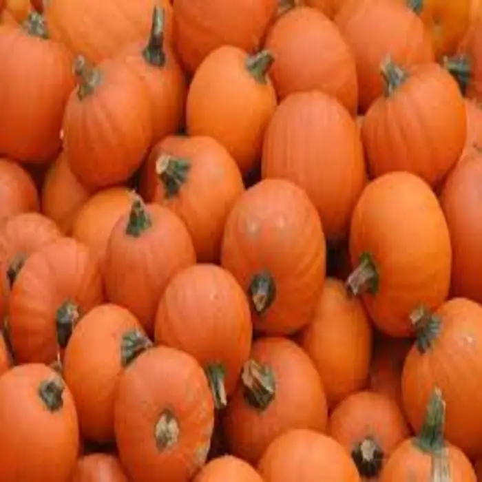 Fresh Pumpkins