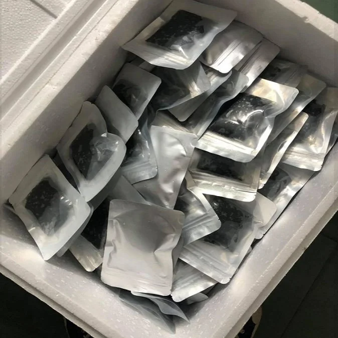  Морской виноград/спиральные водоросли высокого качества 100% натуральный из океана Вьетнам