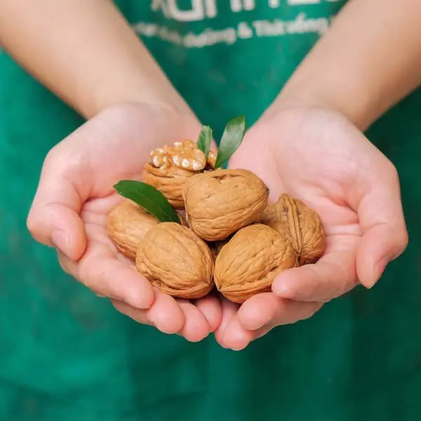 Ready To Ship Rich Nutrition Walnuts Clean Sweet Crispy Nut Good For The Health
