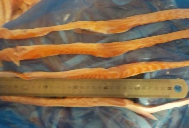 Оптовая продажа белки лосося кишки замороженной рыбы