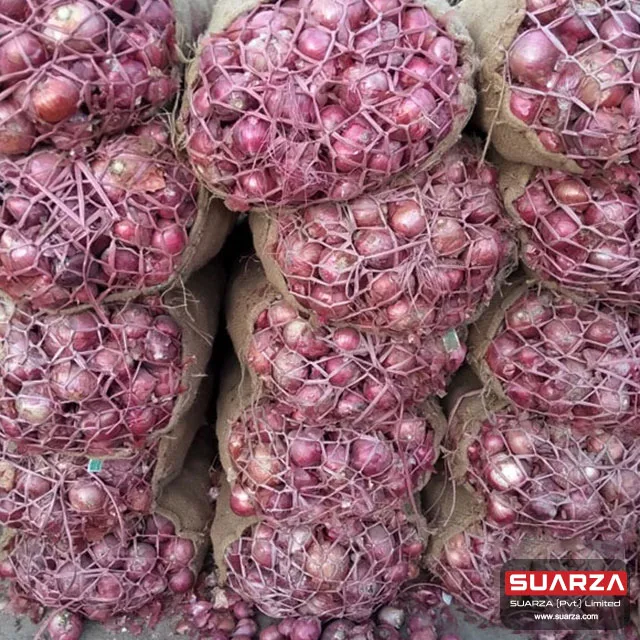 Seasonal   Red shallot Onion for Dubai market/ best quality cheap price onion /   Red Onion Exporter
