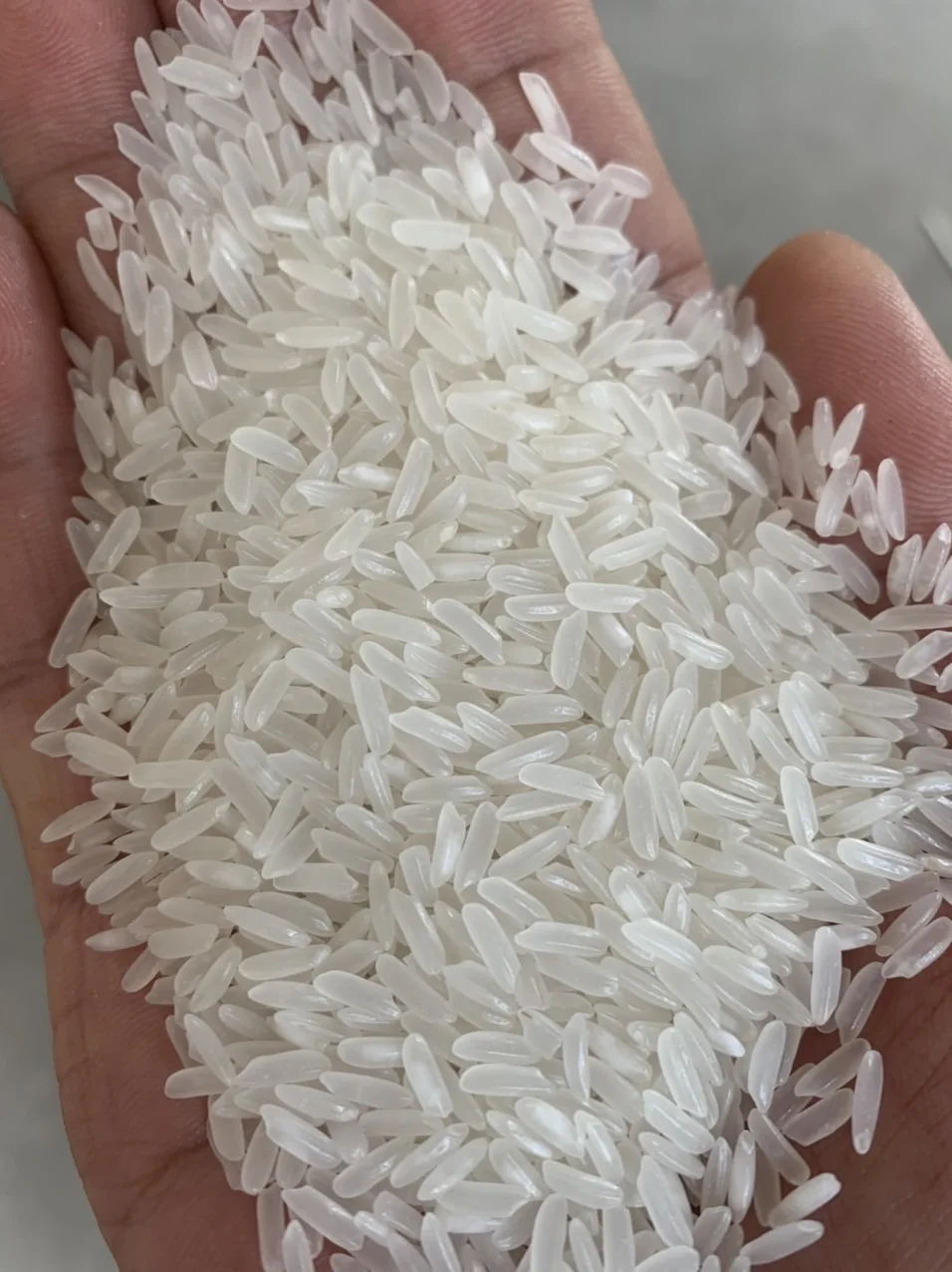 Парфюм Королевский тайландский жасмин белый Бриз с длинным зерном 5% бриссис Лучшая цена крупного роса (мобильный телефон/WA: + 84986778999 David)