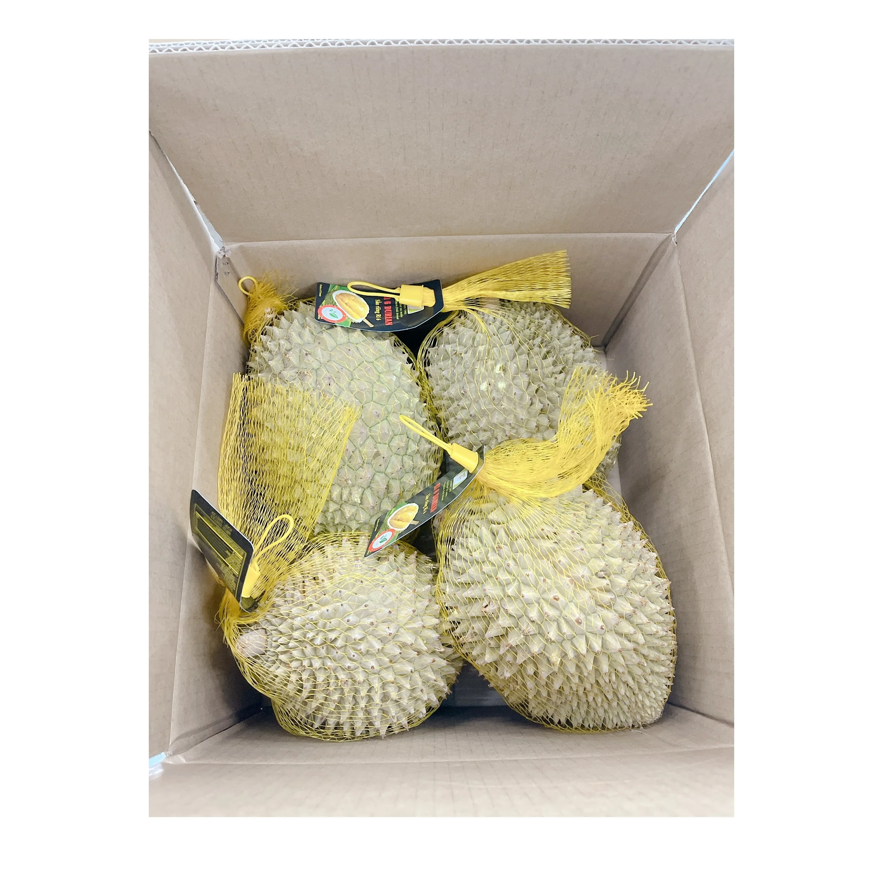 Premium Grade 500 - 1000 tons/ month  24 months Shell Life Sweet Taste Year Round Season Frozen Durian Export From Vietnam