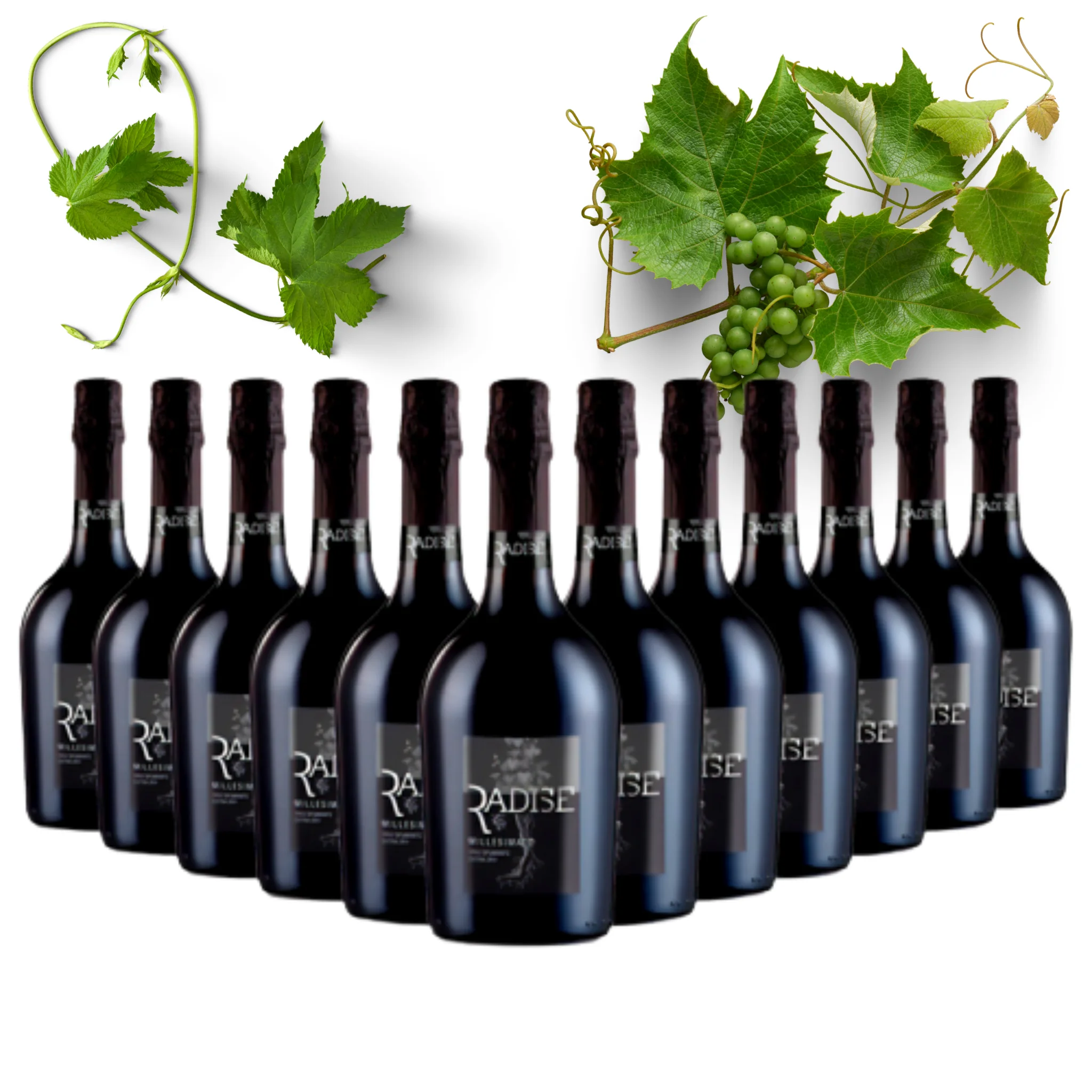 Dropship Sparkling Wine - Italian Spumante Extra Dry Millesimato Radise - Wine bottles 750 ml - Alcohol wine 11% Price for sale