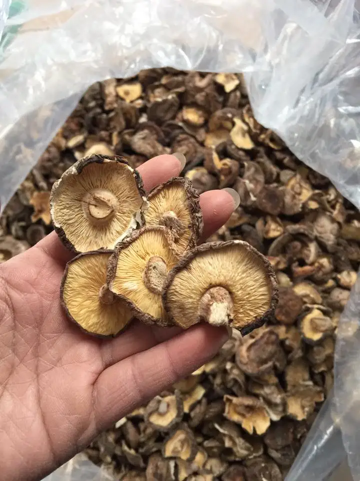 Хит продаж сушеные грибы shiitake свежие shiitake/Hana + 84 901 006 904