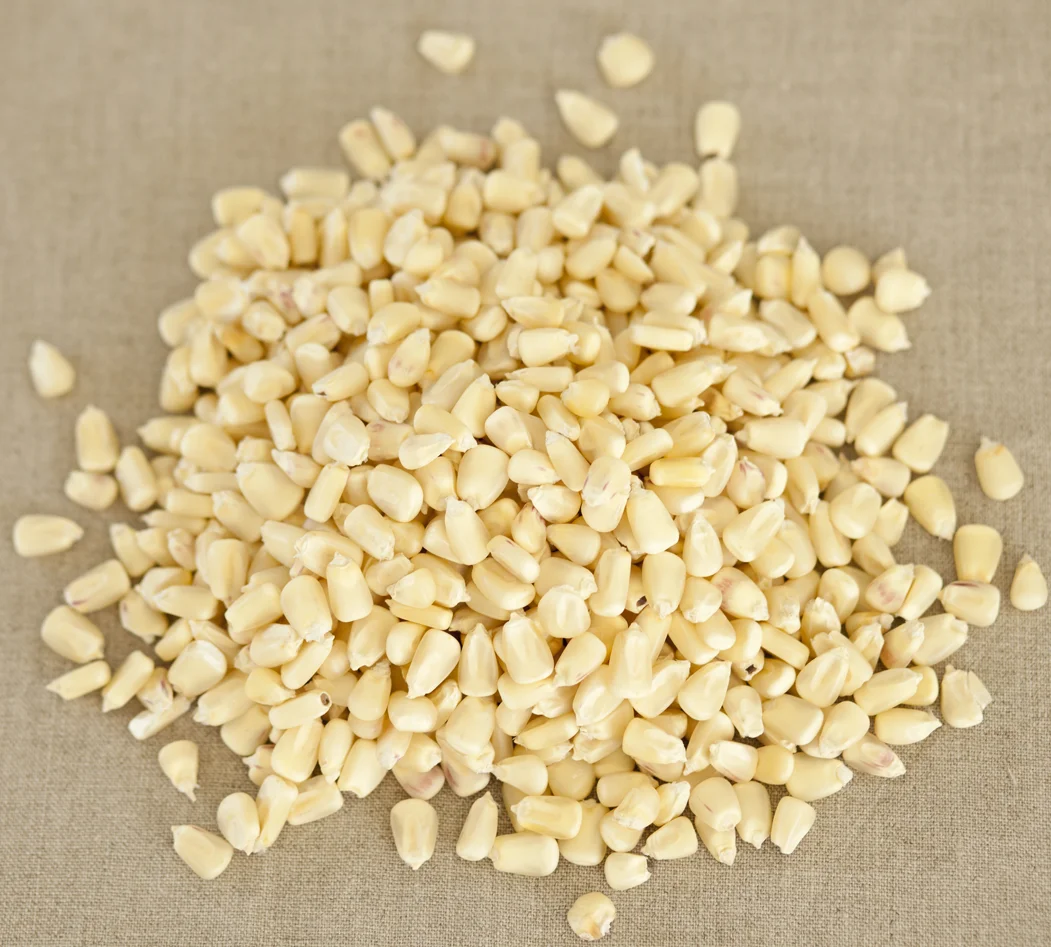 
Cheap Price Dry White Maize Corn for For Sale 