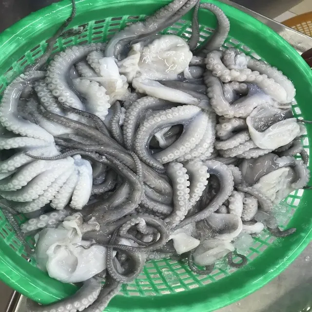 
FROZEN CUT POULP SQUID FROM VIET NAM 