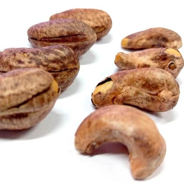 cashew nut
