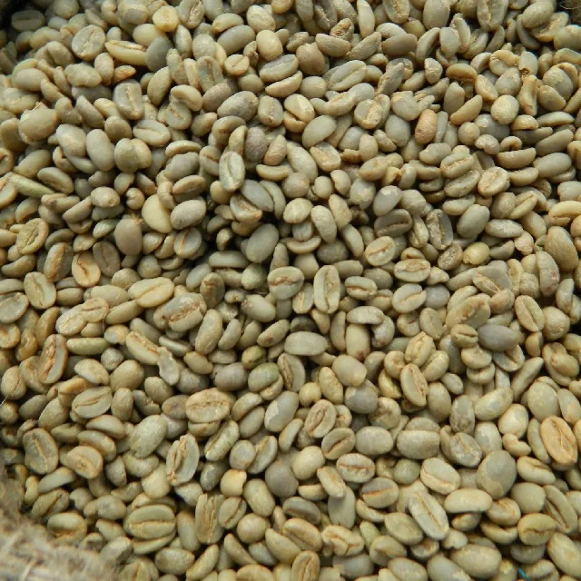 
robusta green coffee beans 