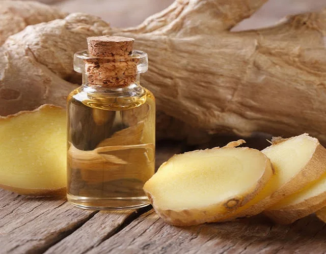 Wholesale High Quality Natural Organic Ginger Oil Price Ginger Hair Care Oil