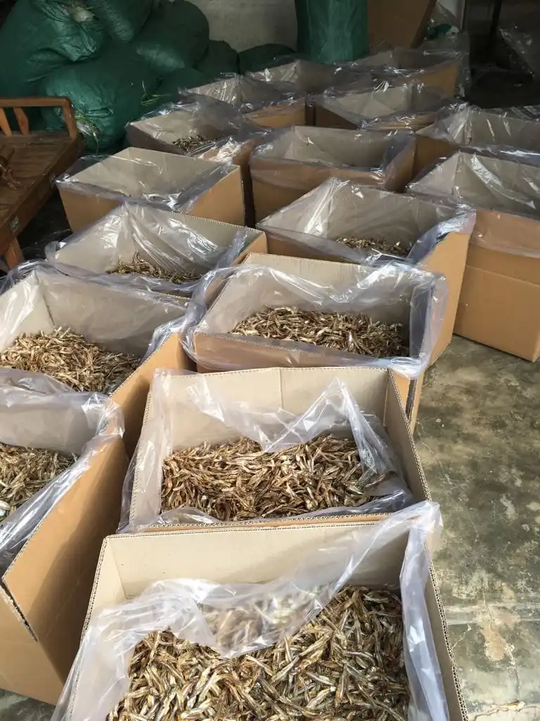 Best quality Dried anchovy by sunshine from Vietnam (Anchois) AD Process - seafood.linda(at)gmail(dot)com W/S: 0084 989 322 607