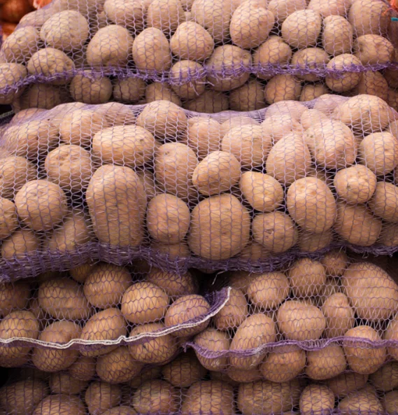 
Finest Quality Big Size Fresh Potatoes From Pakistan / Wholesale Price, Bulk Quantities / Import Potatoes in Bulk 