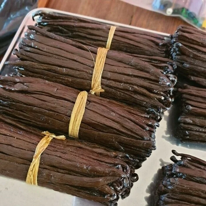 High Quality Madagascar Vanilla Beans with Good Price