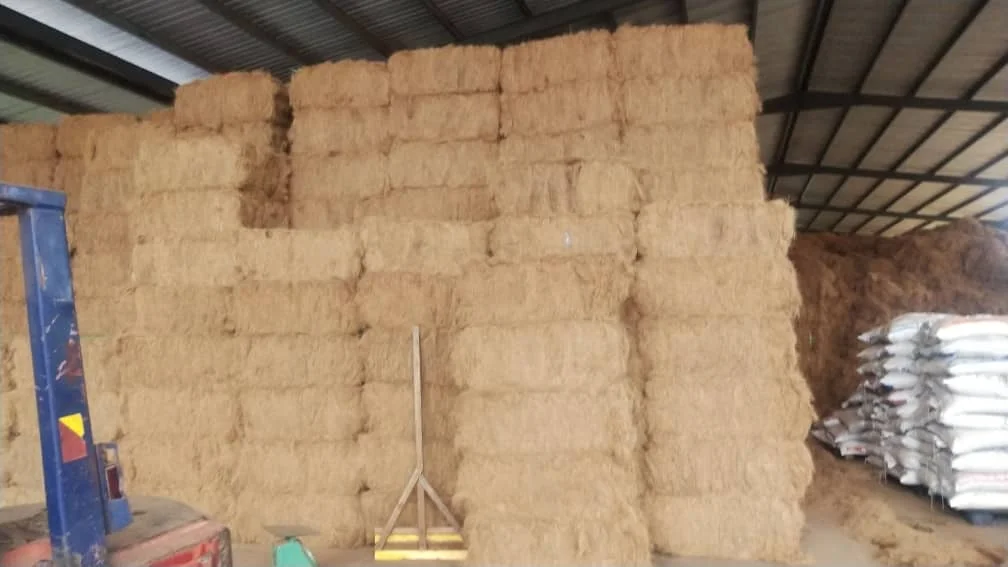 
Best Selling Natural Coconut Fibre With 100% From Coconut Coir For Mattress Production 