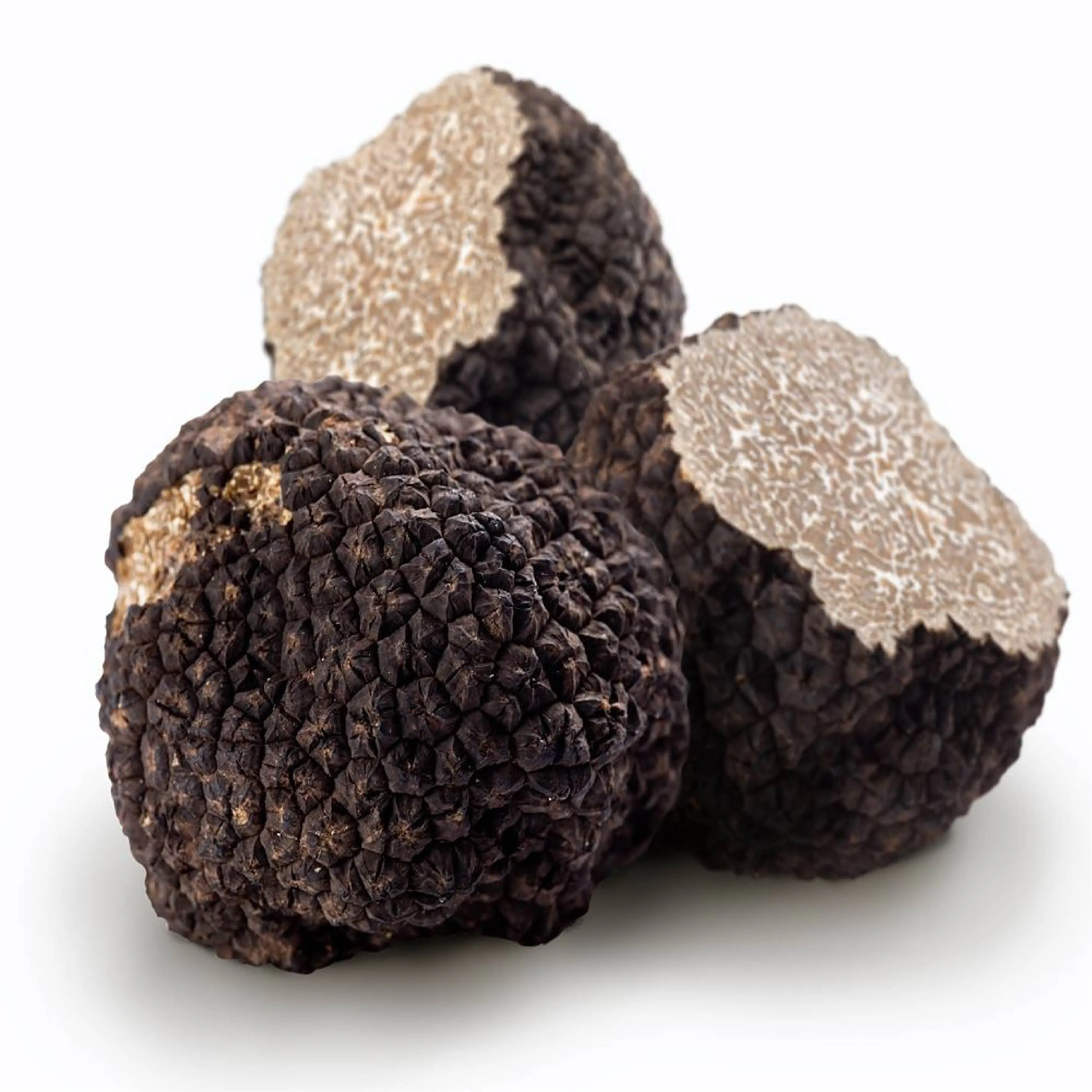 BLACK SUMMER TRUFFLE(Tuber Aestivum Vit)