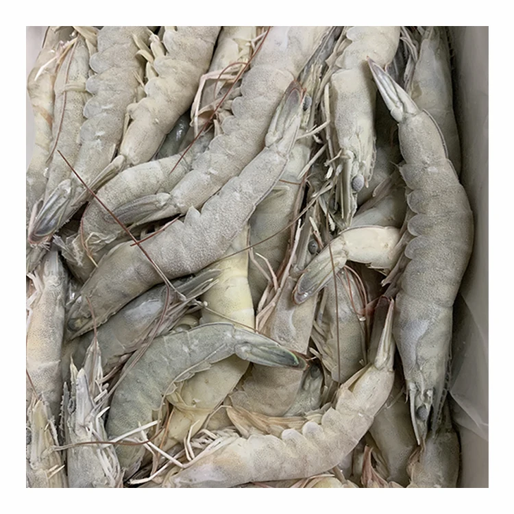 
Whole White Shrimp Prawn Frozen Caridean Shrimp 