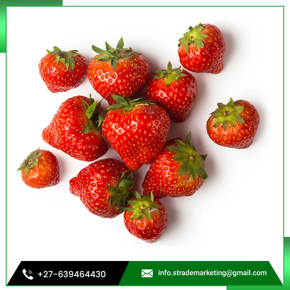 
Highly Vitamin Rate Red Strawberry Sourced from Family Farm 