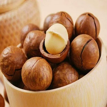 
Best High Quality Macadamia 