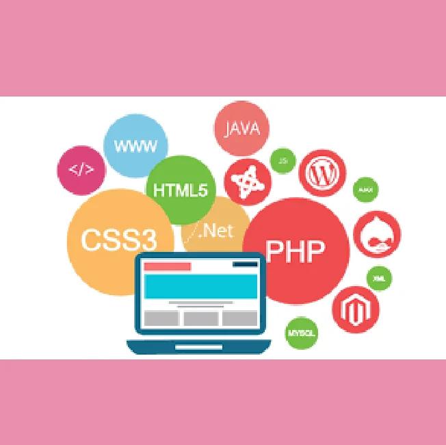 
Most Effectively Optimized Custom Consumer Shopping Websites on Internet 