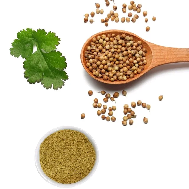 Natural Organic Jeera Powder Masala Cumin Powder Manufacturers Wholesale High Quality Seasoning 100% Natural Spicy