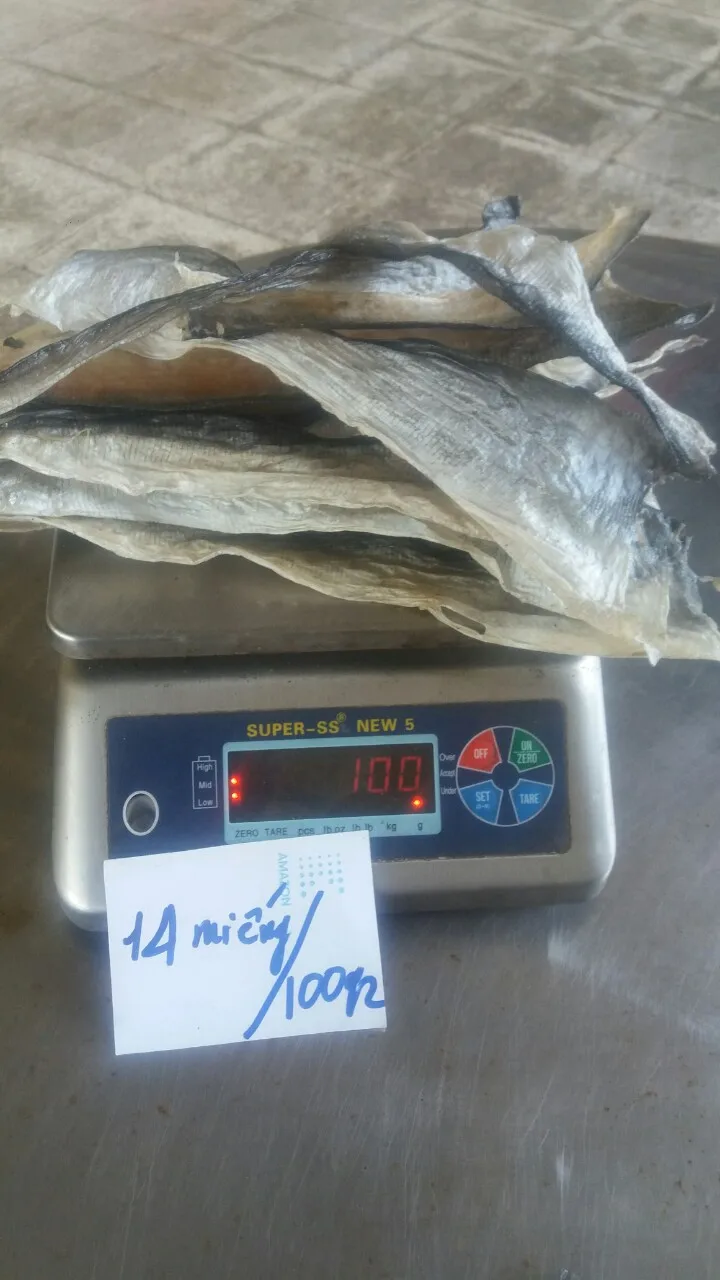 Pangasius сушеная рыбья кожа для производства коллагена из Вьетнама низкая цена-Whatsap 0084 989 322