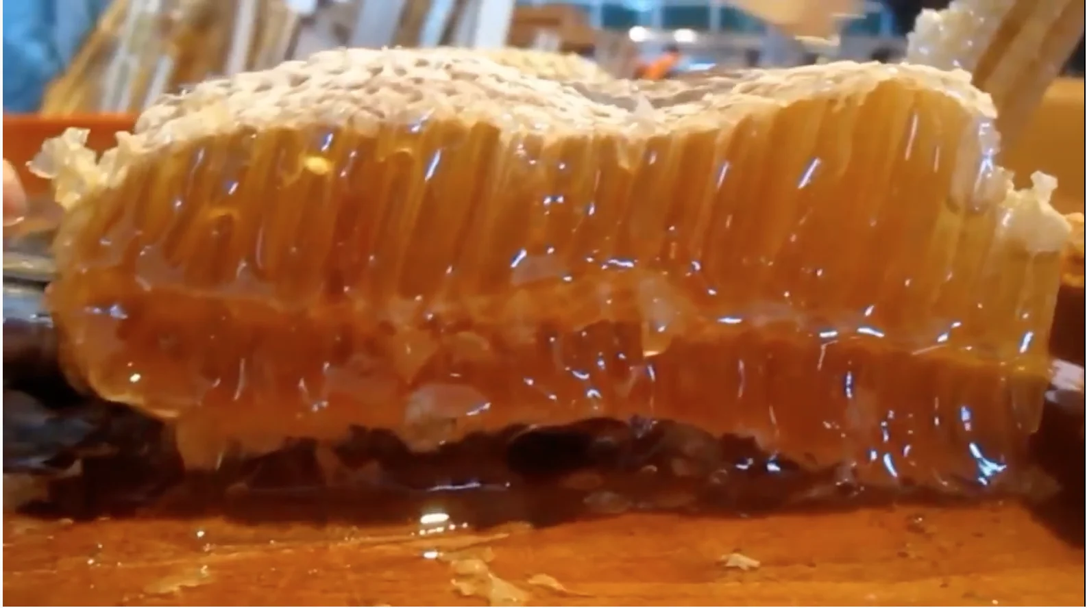 Vietnam HACCP 300kg Bulk Natural Honey