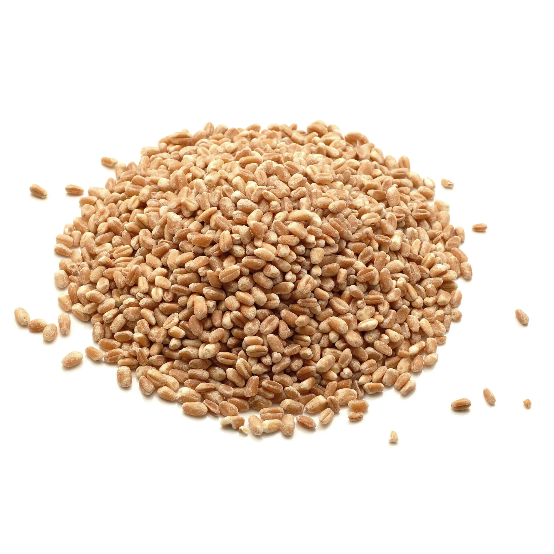 Wheat- High quality