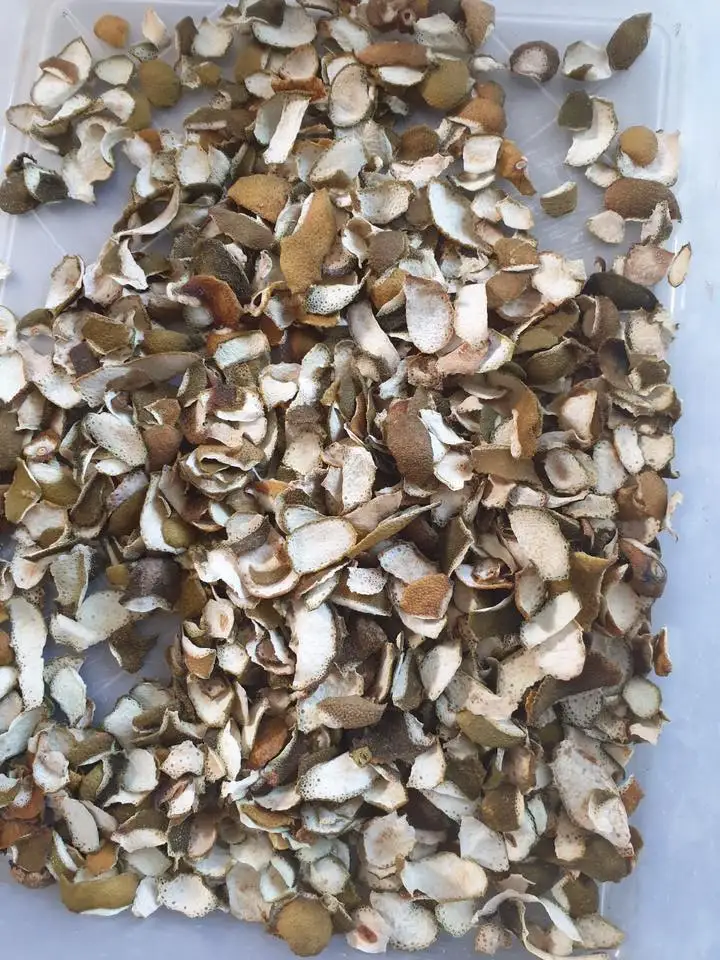 Dried Citrus Peel 1.jpg