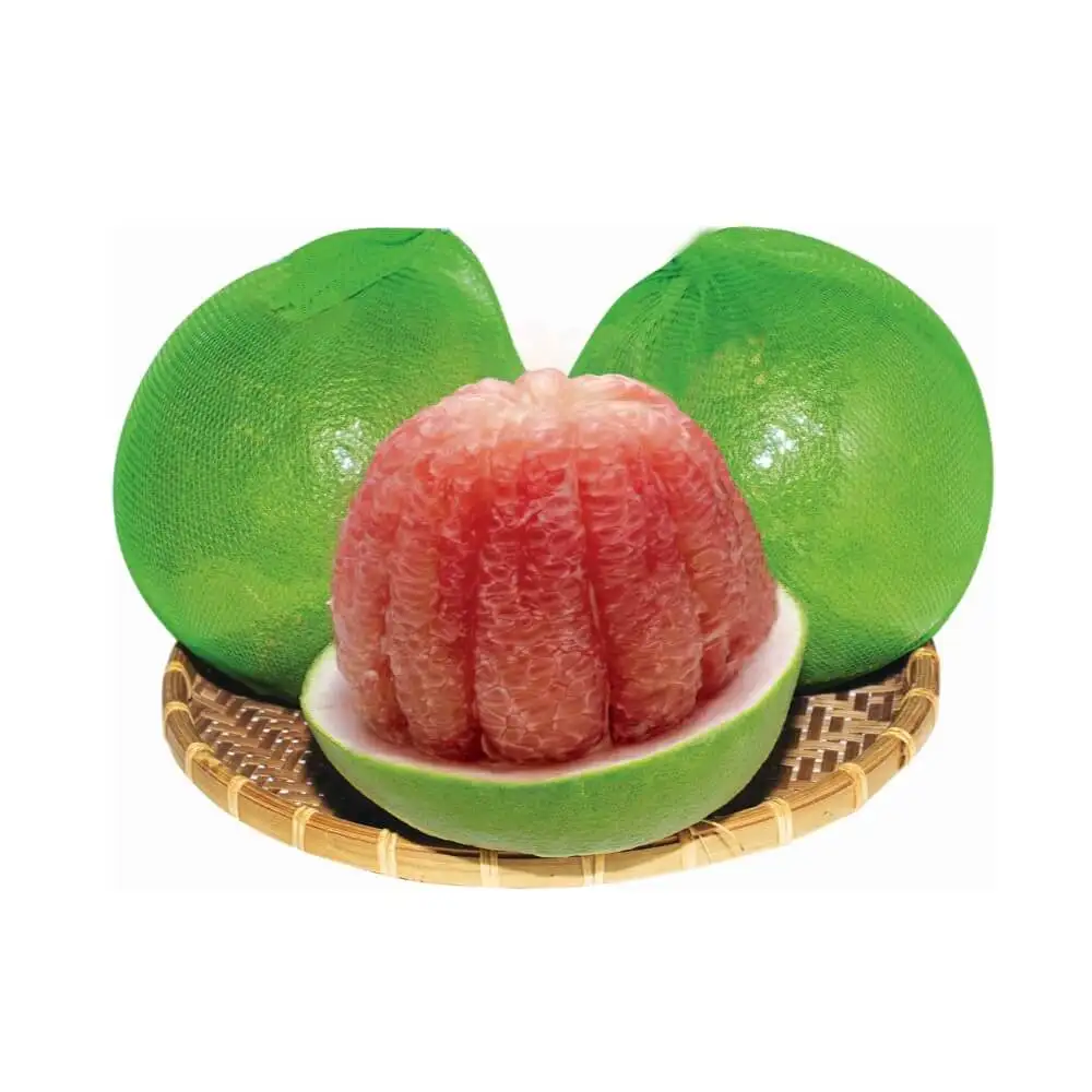 Citrus Fruit Type 100% Maturity High Quality Fresh Grapefruit From Vietnam