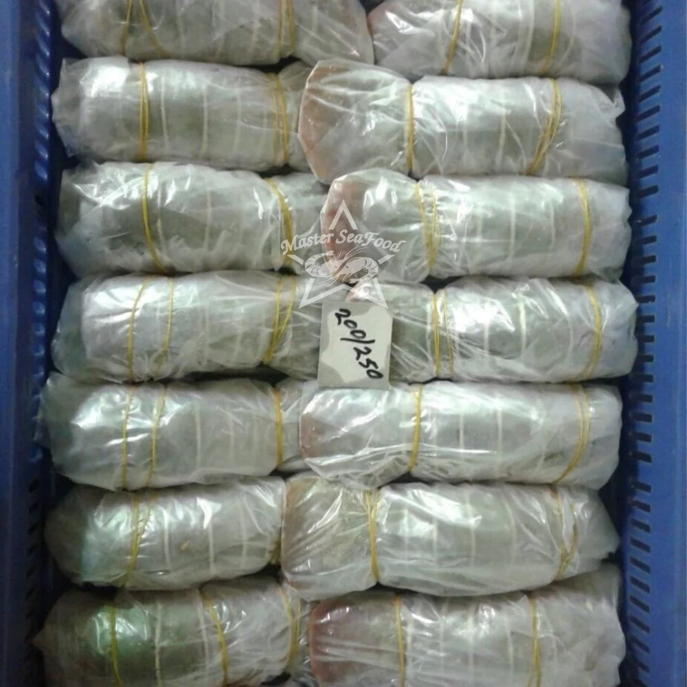 Lobster Tail Frozen Best Quality Master Seafood Product Country of Origin Bangladesh 2 Ounce to 12 Ounce Packing 10 KG per MC