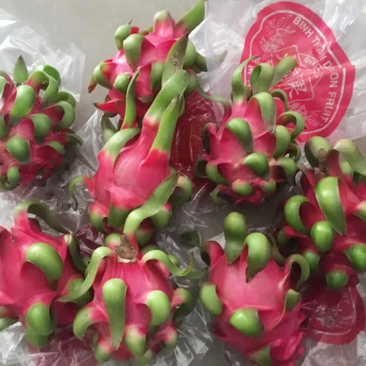 Фрукт красного дракона, красная плоть/Высокое качество для экспорта на рынок ЕС/США из Вьетнама (порт хошиминь)