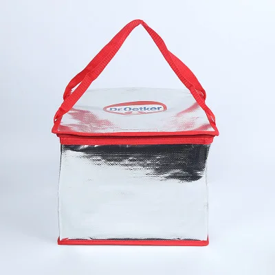 Foldable Cooler Bag Lunch Basket Picnic Insulated Large Capacity Waterproof Backpack Food Custom