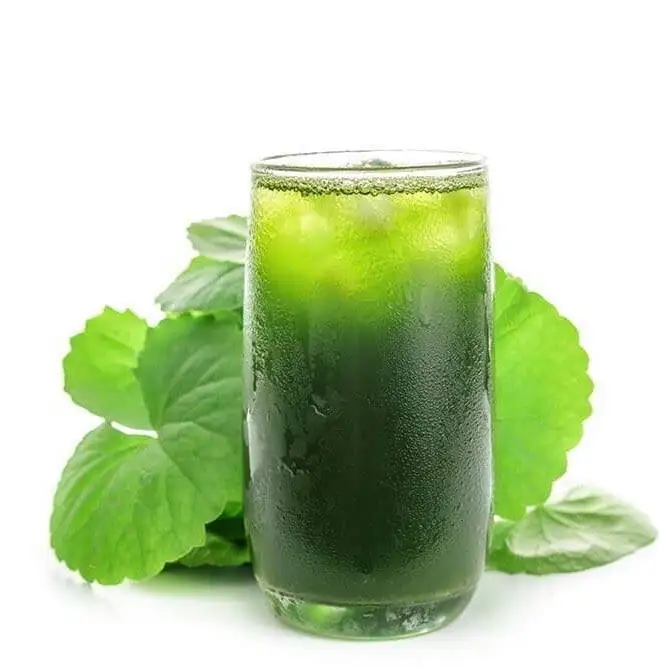 Pure Centella Asiatica Powder Gotu Kola Powder Mandukaparni Pennywort Leaves With High Quality 0084947900124