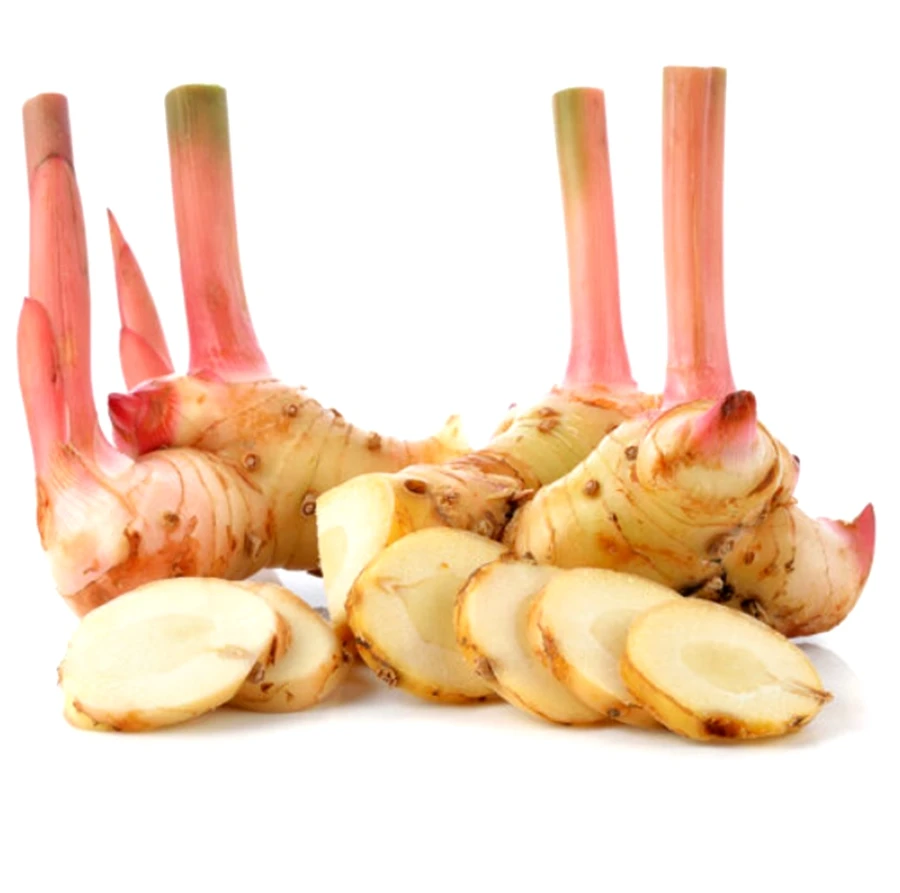 100% GALANGAL DRIED SLICES CHUNKY CUT ROOT RHIZOME ORGANIC NATURAL HERBS SPICY PREMIUM QUALITY NO CHEMICAL PRODUCT OF THAILAND