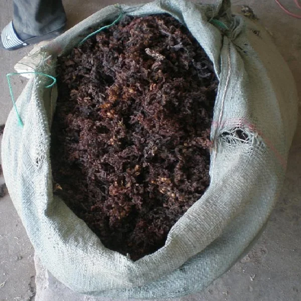 Naturally Sargassum Seaweed Powder - Dried Sargassum Seaweed  from Vietnam / Shyn Tran +84382089109