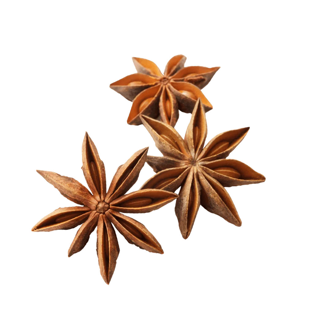 Natural Brown Whole Star Anise Spring Crop 2022 High oil content Grade AA Premium Quality from Vietnam Manufacturer