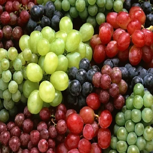 
Fresh Grapes (Seedless / Seeded, Black, Green, Red) For Sale 