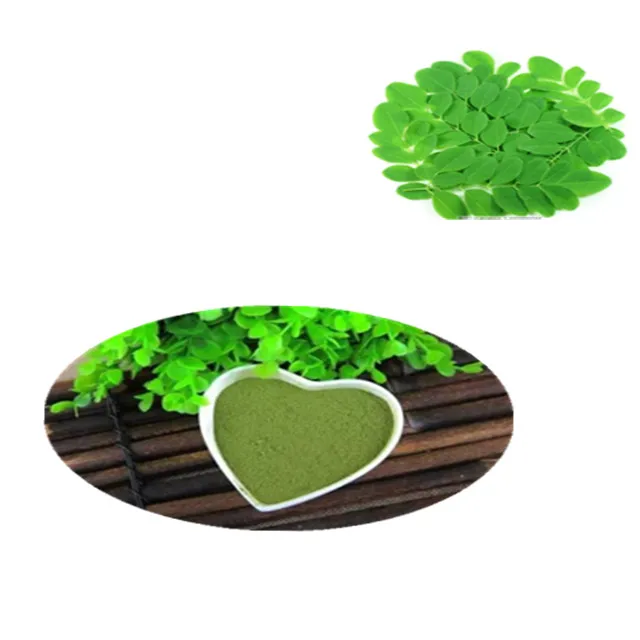 Healthy & Pure Moringa Leaf Powder organic certified low price healthy supplement herbal food