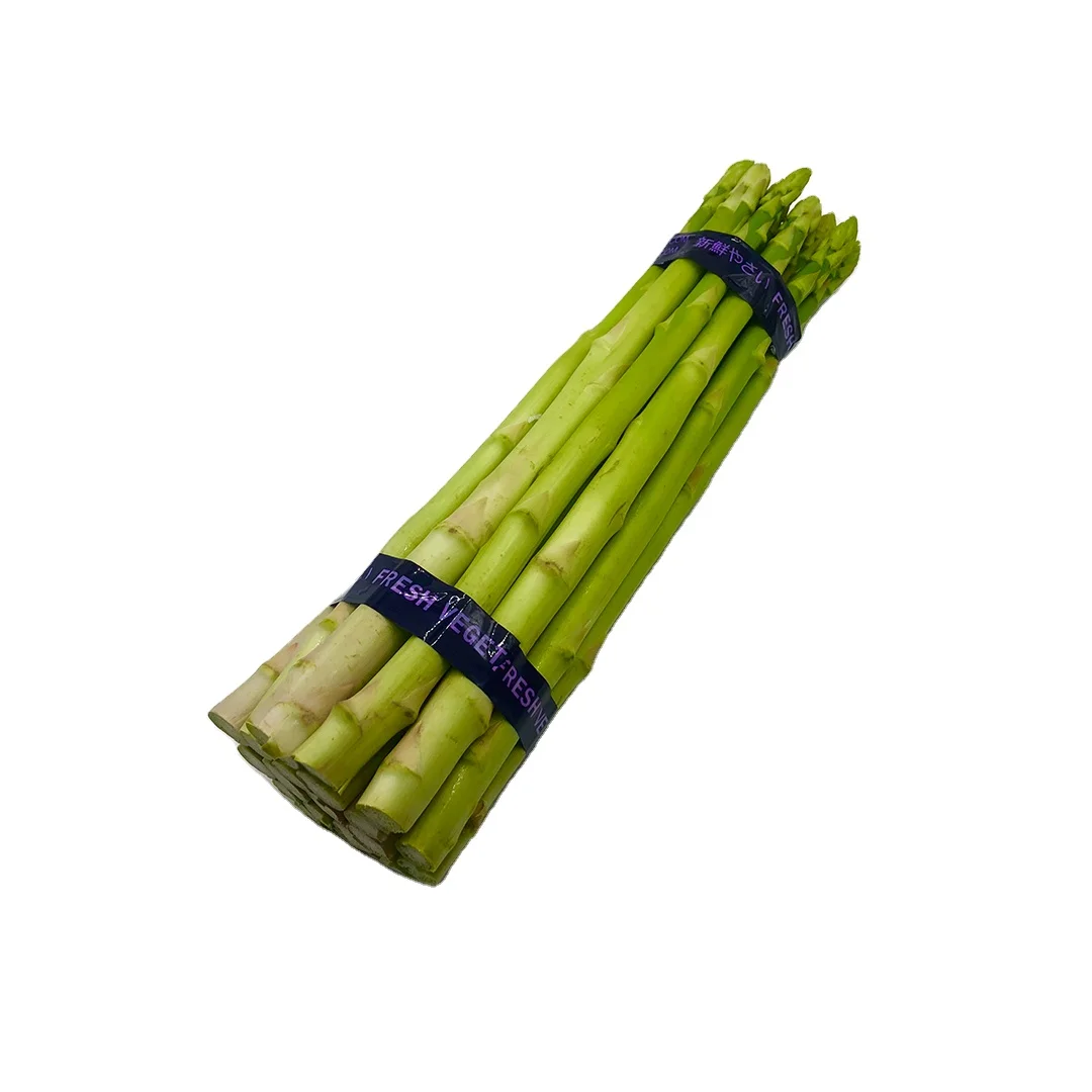 Premium Other Fresh vegetables Spices Seasoning Green Asparagus from Thailand A+ size Wholesale