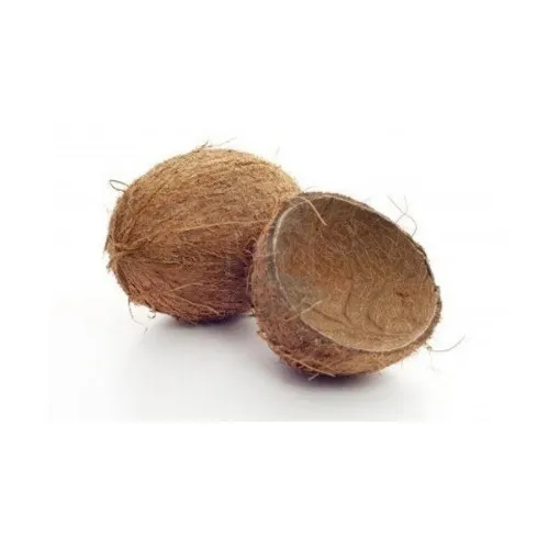 Скорлупа кокоса лучшего качества/скорлупа дробленого (WS: 0084987731263)