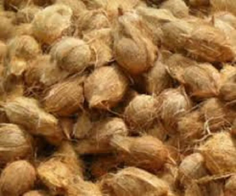 
Fully husked coconut 