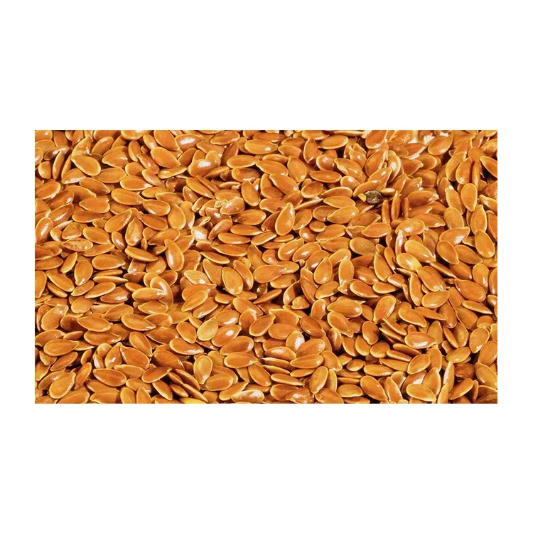 Bulk Seller of Best Quality Well Dried Flax Seeds/Alsi at Competitive Price