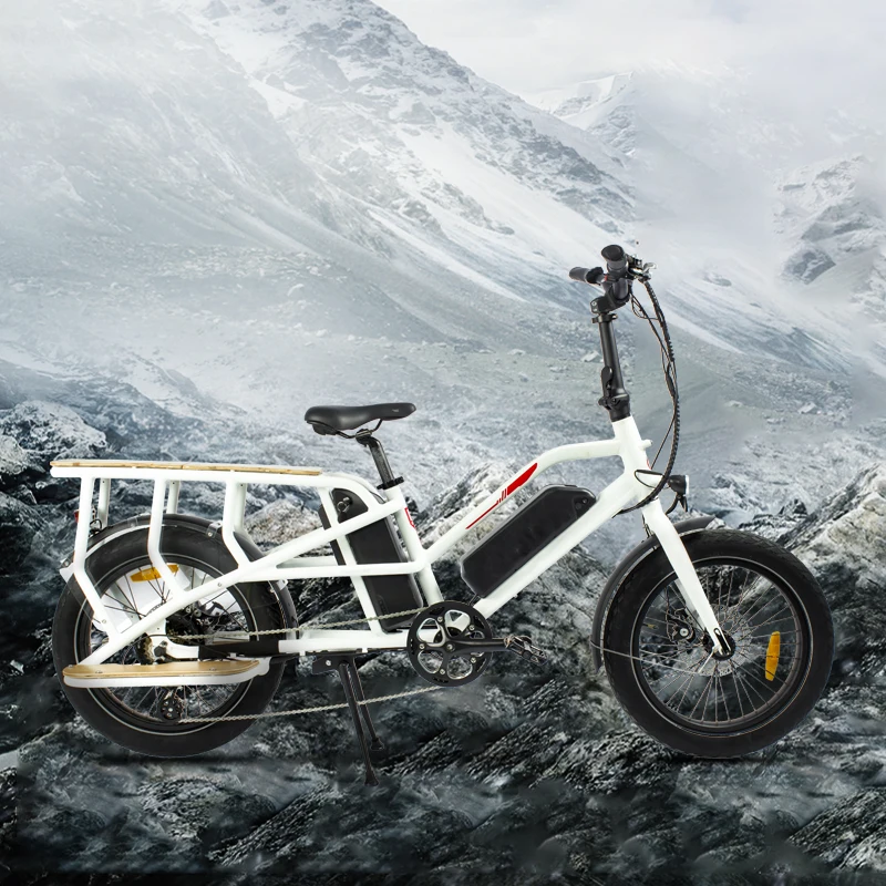 20 дюймов помощи педалированию Грузовые Велосипеды для взрослых 500w hubless мотор ССА, фара для электровелосипеда в 48v 15Ah Доул батареи электрических грузовых велосипедов