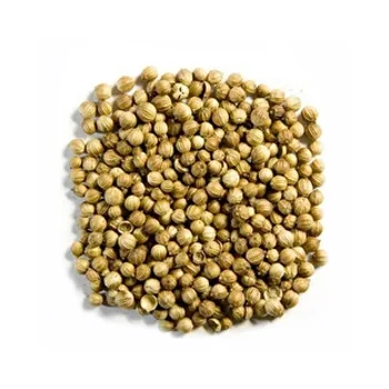 Wholesale Supply Good Quality Dried Coriander Seeds Russian Origin