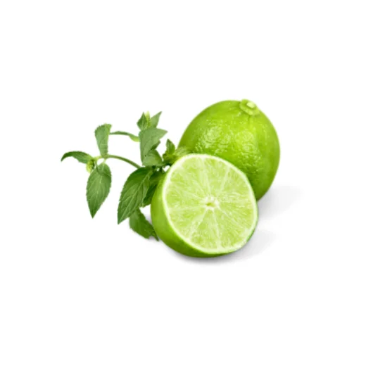 VIETNAM SEEDLESS LIME GREAT QUALITY FOR TRADER WHATSAPP WECHAT VIBER 0084326572671