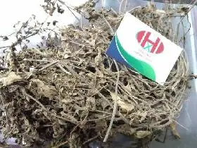 Сушеные Листья желе черной травы // сушеная мезлона китайская-Джесси + 84359443043