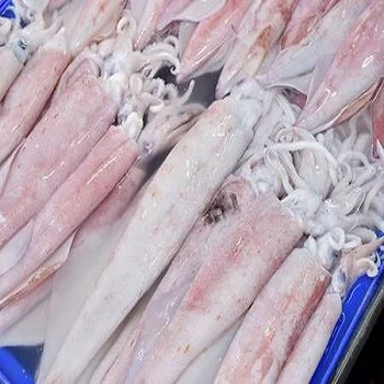 Frozen squid tube frozen calamary Todarodes Pacificus