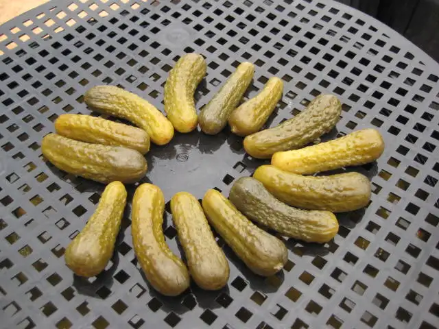 Fermented Cucumbers