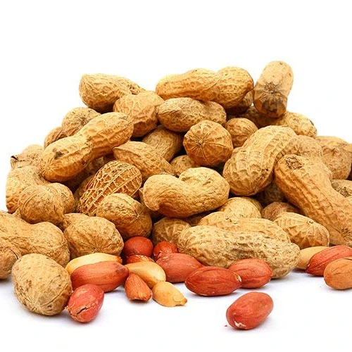 Raw Groundnut Peanut Kernel  Good Quality for Export